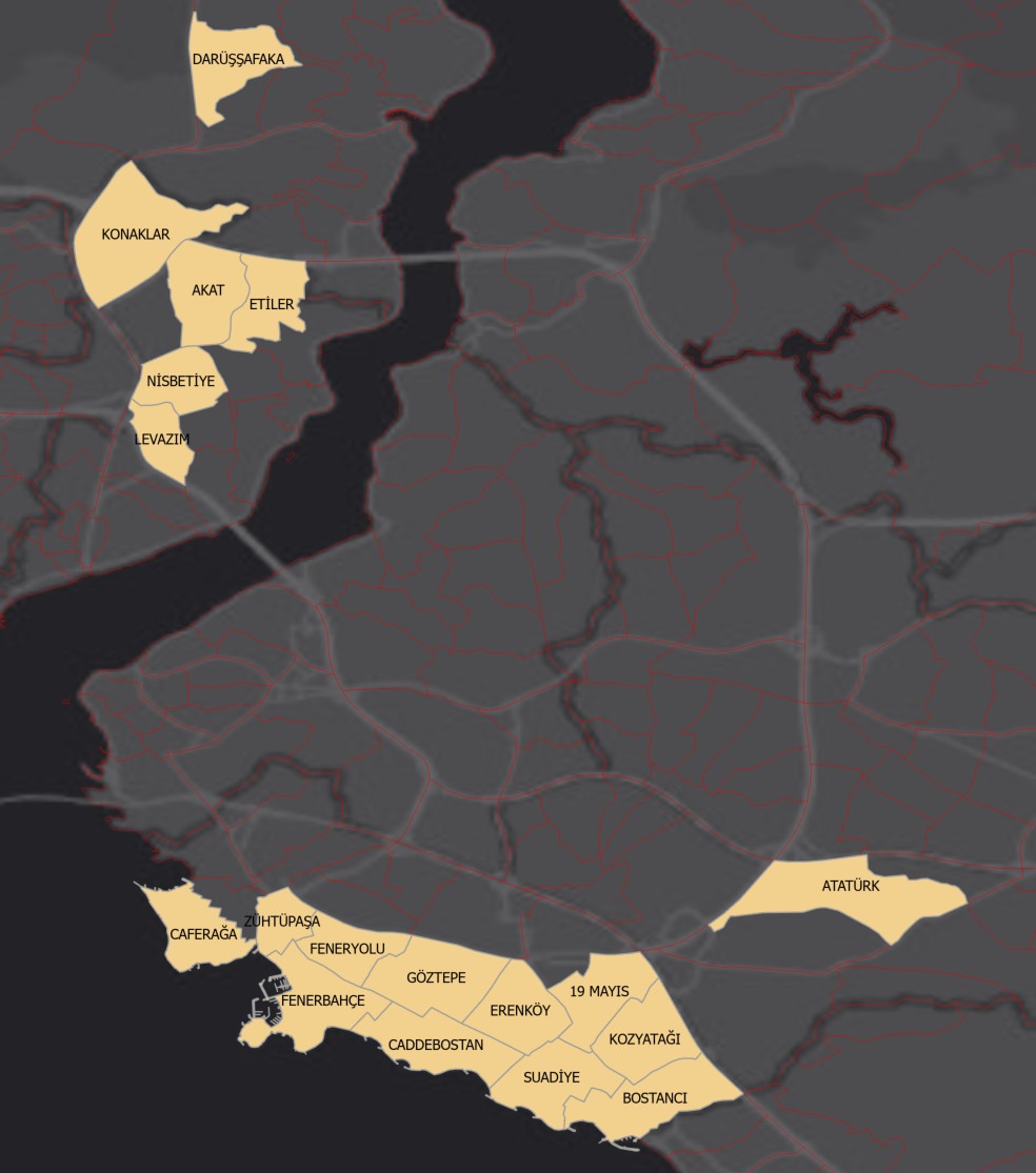 NEIGHBORHOODS WITH MORE THAN 50% OF THE NUMBER OF UNIVERSITY GRADUATES IN ISTANBUL